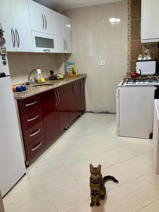 Delight: Cozy Alsancak Apartment Izmir
